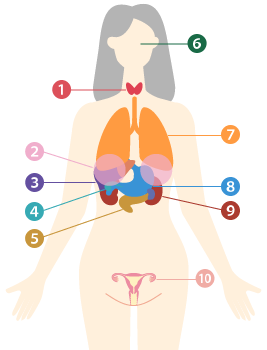 部位から選択（女性）