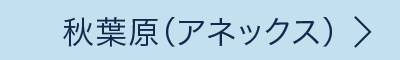 秋葉原（アネックス）